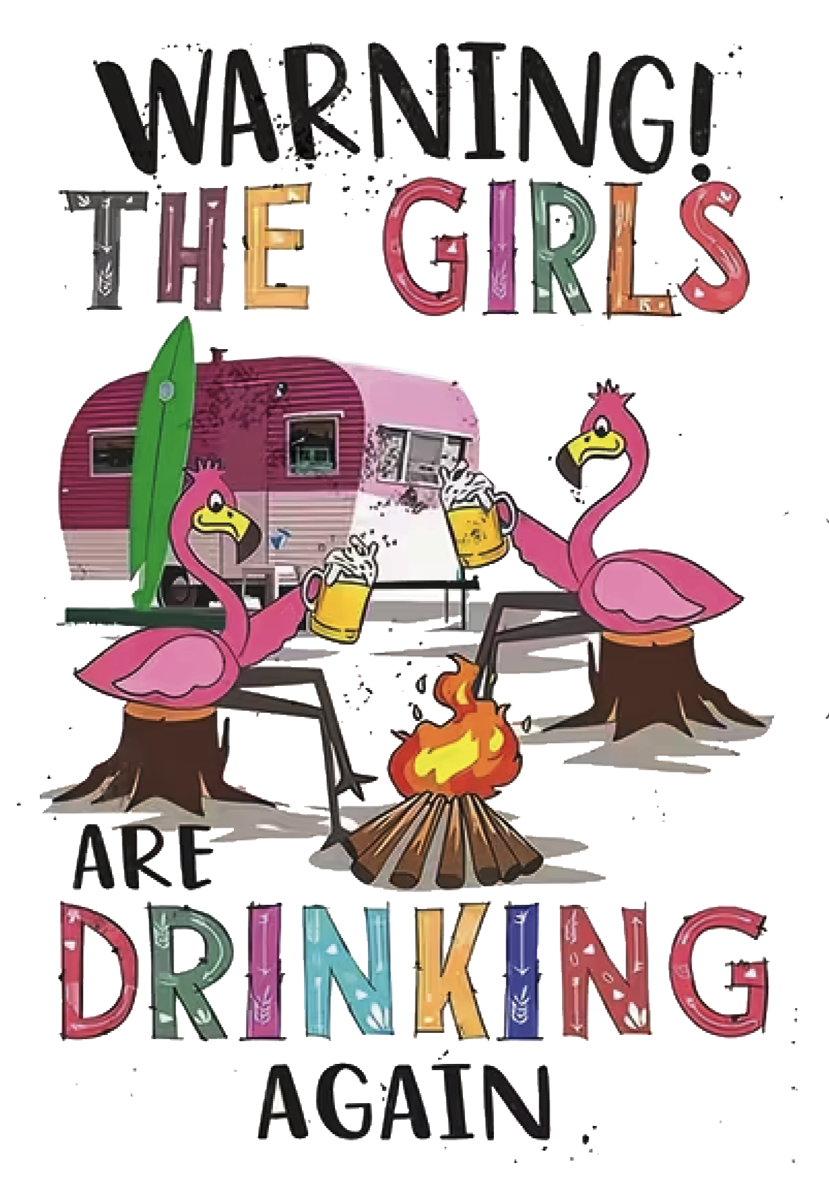 Warning The GirlsAre Drinking Again  Full Colour (17 x12") Polyester Flag with Optional Pole