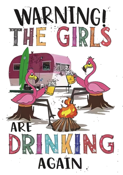 Warning The GirlsAre Drinking Again  Full Colour (17 x12") Polyester Flag with Optional Pole